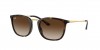 RB4409I Sunglasses