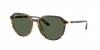 RB4415L Sunglasses