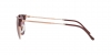 RB4416 New Clubmaster Sunglasses