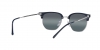 RB4416 New Clubmaster Sunglasses
