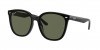 RB4423D Sunglasses