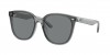 RB4423D Sunglasses