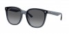 RB4423D Sunglasses