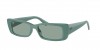 RB4425 Teru Sunglasses