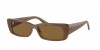 RB4425 Teru Sunglasses
