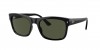 RB4428 Sunglasses