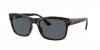 RB4428 Sunglasses
