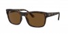 RB4428 Sunglasses