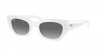 RB4430F Zena Sunglasses