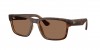 RB4438L Sunglasses