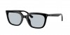 RB4439D Sunglasses