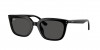 RB4439D Sunglasses