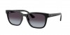 RB4448L Sunglasses