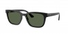 RB4448L Sunglasses