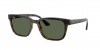 RB4448L Sunglasses