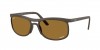 RB4452CH Sunglasses