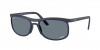 RB4452CH Sunglasses
