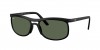 RB4452 Sunglasses