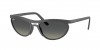 RB4453 Sunglasses
