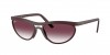 RB4453 Sunglasses