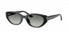 RB4457D Sunglasses