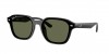 RB4458D Sunglasses