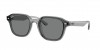 RB4458D Sunglasses