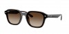 RB4458D Sunglasses