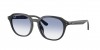 RB4459D Sunglasses