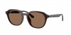 RB4459D Sunglasses