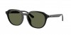 RB4459D Sunglasses