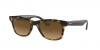 RB4640 Sunglasses