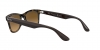 RB4640 Sunglasses
