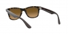 RB4640 Sunglasses