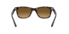 RB4640 Sunglasses