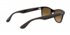 RB4640 Sunglasses