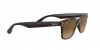 RB4640 Sunglasses