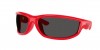 RB4941 Sunglasses