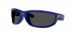 RB4941 Sunglasses