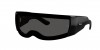 RB4942 Sunglasses
