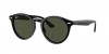 RB7680S Larry Sunglasses