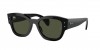 RB7681SF Jorge Sunglasses