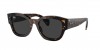 RB7681SF Jorge Sunglasses