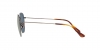 RB4640 Sunglasses