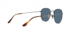 RB4640 Sunglasses