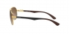 RB8313 Carbon Fibre Sunglasses