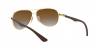 RB8313 Carbon Fibre Sunglasses