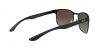 RB8319CH Sunglasses