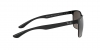 RB8319CH Sunglasses