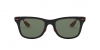RB8331M Sunglasses